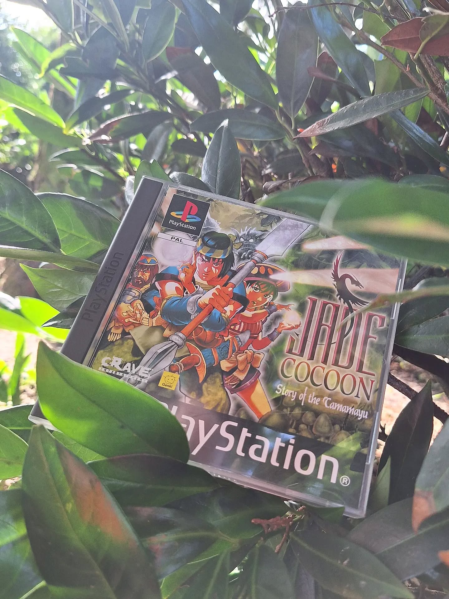 Day 1 #RCEWorldCup2026 kicking off with nature and a PS1 game! 

I'm planning on doing PS1 only to give myself some focus. Jade Cocoon has a beautiful box art and with that nice weather outside together with some nature stuff, this feels like a perfect match to pair up in a photo!

I'm in team C with @jashretro and @memorycardvault so the C obviously stands voor Cool 😎

Organised by @retrocollectiveeurope

Dropping ⚽ ⚽ ⚽ is only for participants! Passive onlookers are allowed to drop other balls and comments, naturally. 

#playstation #retrogame #videogames #ps1